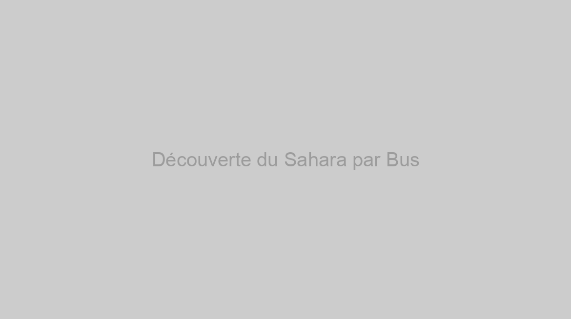 Découverte du Sahara par Bus
